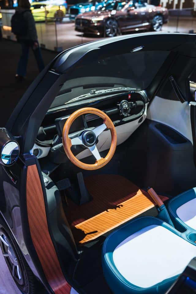 Interior MIcrolino L6e