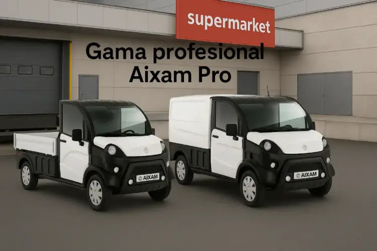 Aixam D-Truck