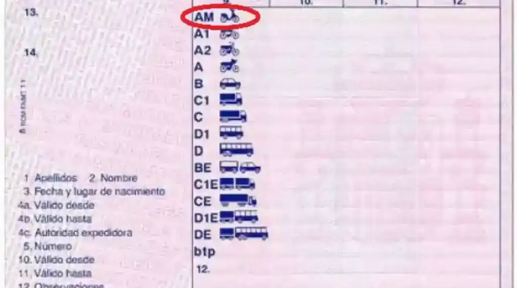 foto de carnet am en permiso de conducir con la categoria am resaltada en rojo
