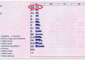 foto de carnet am en permiso de conducir con la categoria am resaltada en rojo