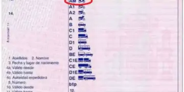 foto de carnet am en permiso de conducir con la categoria am resaltada en rojo