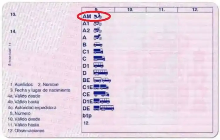 foto de carnet am en permiso de conducir con la categoria am resaltada en rojo